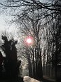 IMG_0718
