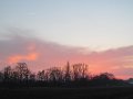 IMG_0790