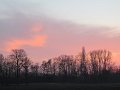 IMG_0791