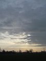 IMG_0853