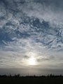 IMG_0916