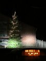 IMG_0962