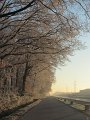 IMG_1033