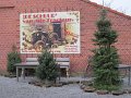 IMG_1123
