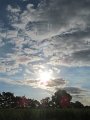 IMG_5584