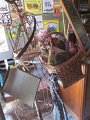 IMG_5605