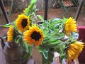 IMG_5612