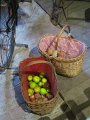 IMG_5654