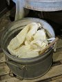 IMG_5666