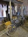 IMG_5671