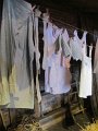 IMG_5674