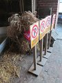 IMG_5755