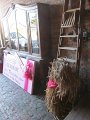 IMG_5756