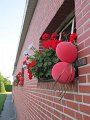 IMG_5759