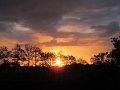 IMG_0294