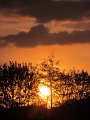 IMG_0295