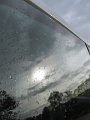 IMG_0316