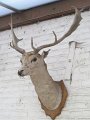 IMG_0371