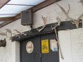 IMG_0373
