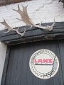IMG_0375