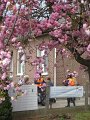 IMG_0538