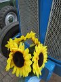IMG_0611