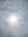 IMG_0647