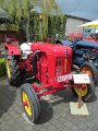 IMG_0686