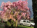 IMG_1230
