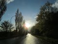 IMG_1237