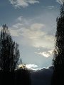 IMG_1239