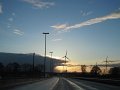 IMG_1247