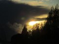 IMG_1249