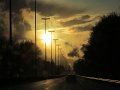 IMG_1250