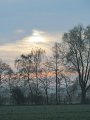 IMG_9807