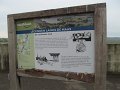 IMG_9847
