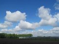 IMG_3553