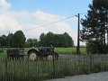 IMG_3567