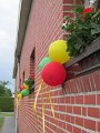 IMG_3743