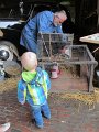 IMG_3781