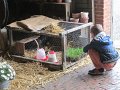 IMG_3854