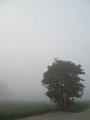 IMG_5015