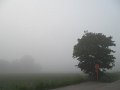 IMG_5017