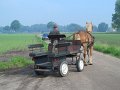 IMG_5111