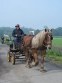 IMG_5112