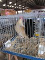 IMG_5228