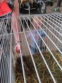 IMG_5240