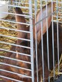 IMG_5244