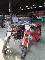 IMG_5336