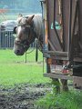 IMG_5380